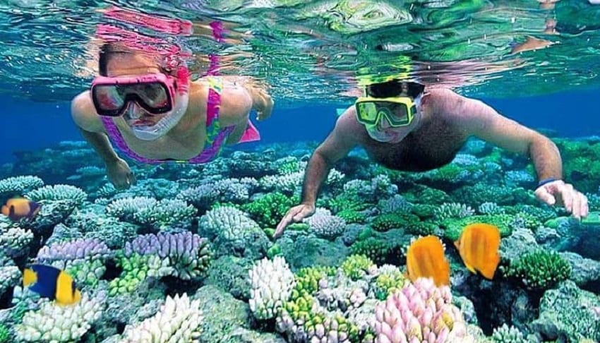 Lặn ngắm san hồ tại Cù Lao Chàm